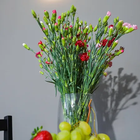 Magic - Aroma شقة *