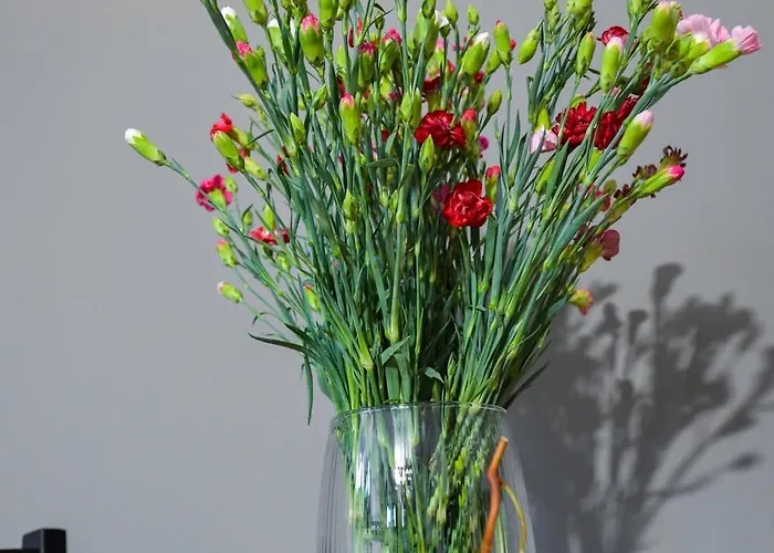 Magic - Aroma Апартаменты *